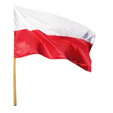 Flaga polski - państwowa, flagi - BHPVota